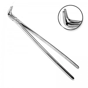 Long Nose Fragment Forceps Serrated Jaws 